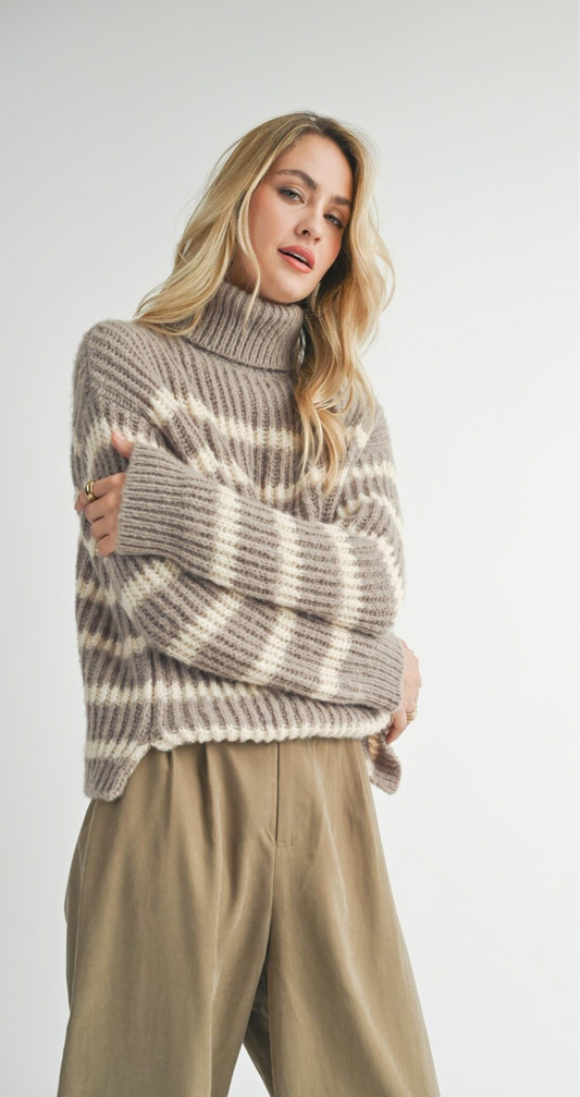 Aki Turtle Neck Striped Sweater